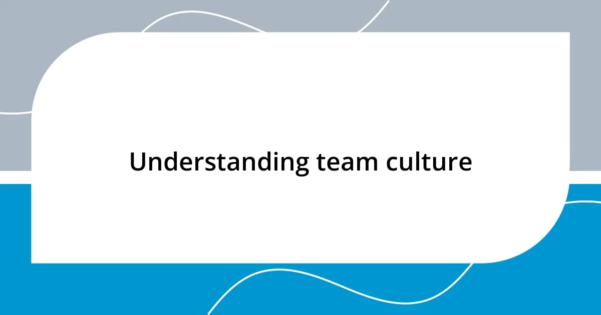 Understanding team culture